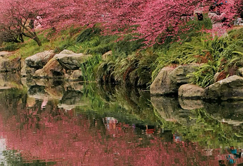 浣花溪公园第 47 张图片