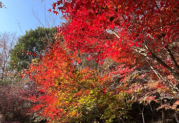 栖霞山第 47 张图片