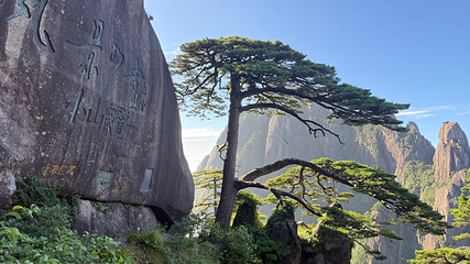 黄山风景区第 57 张图片