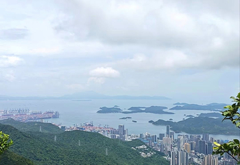 广东梧桐山国家森林公园第 7 张图片