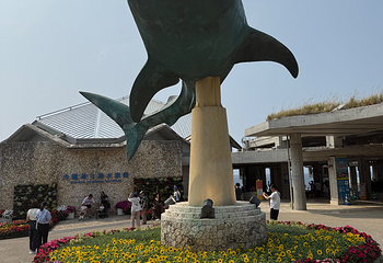 冲绳美丽海水族馆第 122 张图片