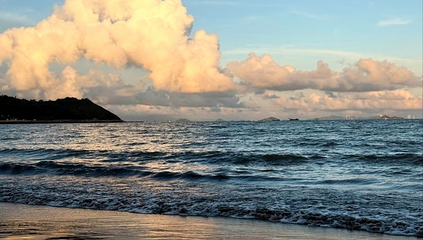 黑沙海滩第 18 张图片