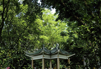 鹅岭公园第 100 张图片