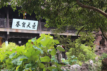 个园第 93 张图片