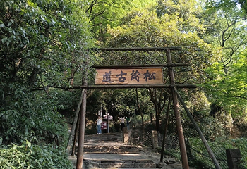 灌县古城第 75 张图片