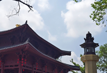 兴庆宫公园第 133 张图片