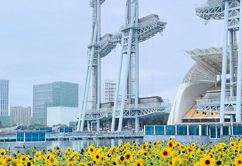 海心沙亚运公园第 37 张图片