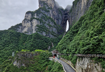天门山国家森林公园第 243 张图片
