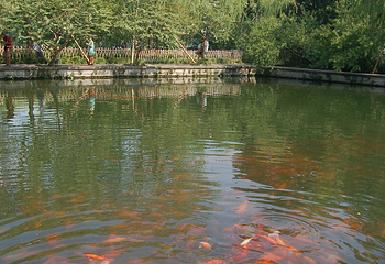 西湖风景名胜区第 443 张图片