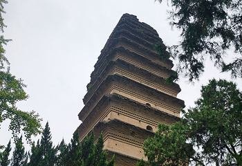 西安博物院第 316 张图片