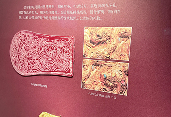 新疆维吾尔自治区博物馆第 65 张图片