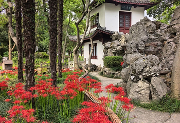 朱家角古镇景区第 90 张图片