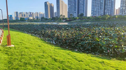 梅江农业生态园第 1 张图片