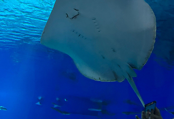 丹麦国立水族馆第 57 张图片