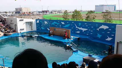 仙台海洋森林水族馆第 8 张图片