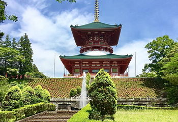 成田山公园第 4 张图片