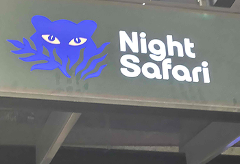 夜间野生动物园第 50 张图片