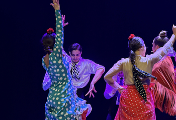 塞维利亚Teatro Flamenco Sevilla弗拉明戈剧院第 10 张图片