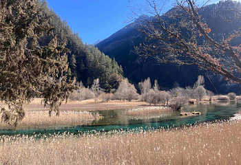 九寨沟风景区第 461 张图片