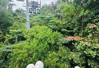 新加坡天际线斜坡滑车第 24 张图片