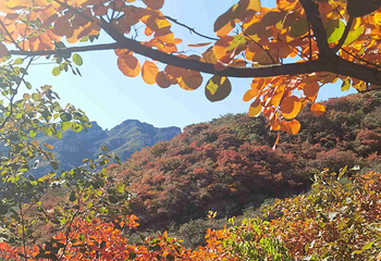 坡峰岭第 63 张图片