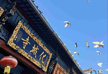 九华山风景区第 165 张图片