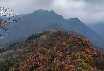 翠华山·秦岭终南山世界地质公园第 89 张图片