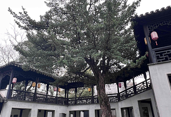木渎古镇第 60 张图片