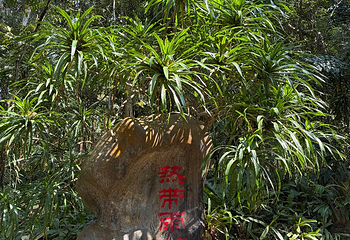 中国科学院西双版纳热带植物园第 122 张图片