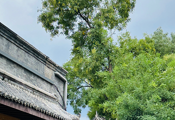 南锣鼓巷第 100 张图片