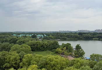 西安浐灞国家湿地公园第 74 张图片