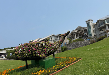 冲绳美丽海水族馆第 69 张图片