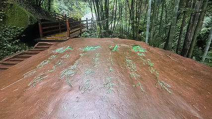 蜀南竹海第 68 张图片