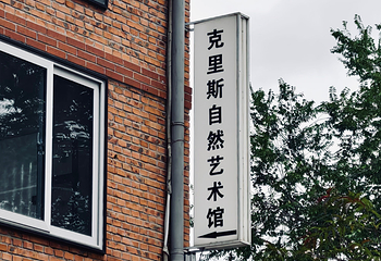 798艺术区第 102 张图片