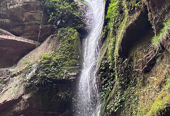 碧峰峡景区第 138 张图片