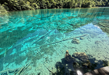 九寨沟风景区第 344 张图片
