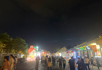 大同古城第 413 张图片