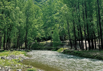 百里山水画廊第 82 张图片