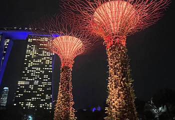 新加坡滨海湾花园第 603 张图片