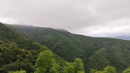 莫干山风景名胜区第 109 张图片