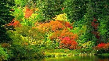 宜兴市珍稀植物园