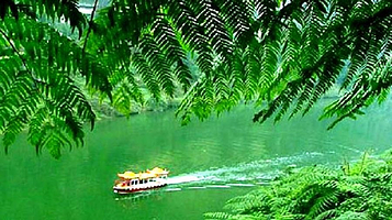 深圳仙湖植物园-桫椤湖