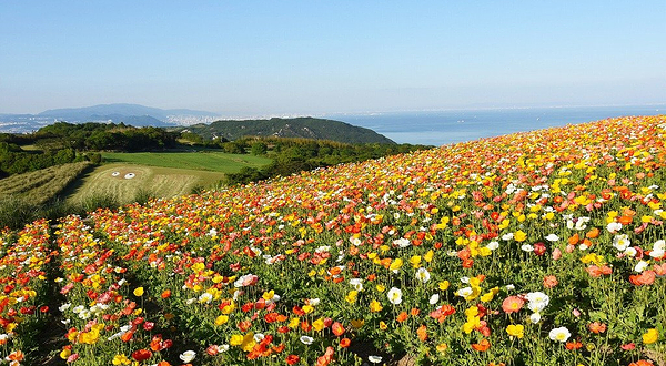 兵库县立淡路花回廊