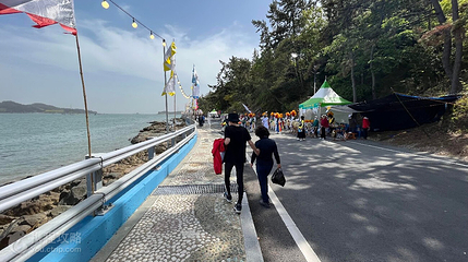 珍岛神奇的海路第 2 张图片