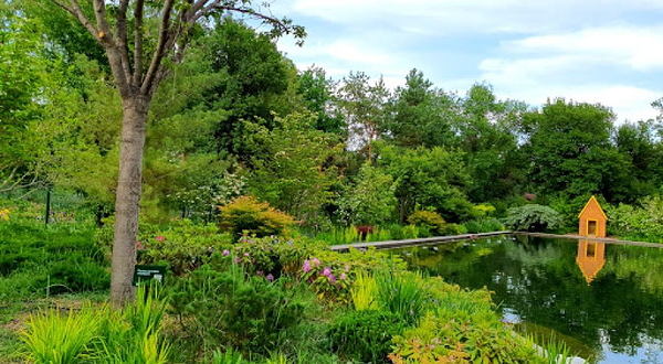 Kollektsionnyy Uchastok 