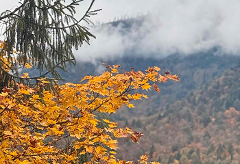 二郎山喇叭河风景区第 130 张图片