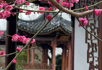 世博文化公园第 243 张图片