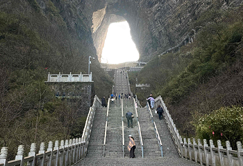 天门山国家森林公园第 321 张图片