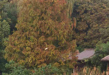 绍兴柯岩风景区第 127 张图片