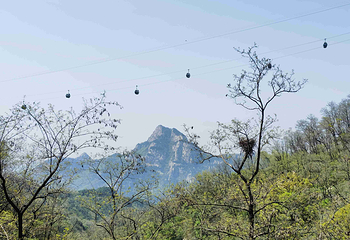 泰山风景区第 59 张图片